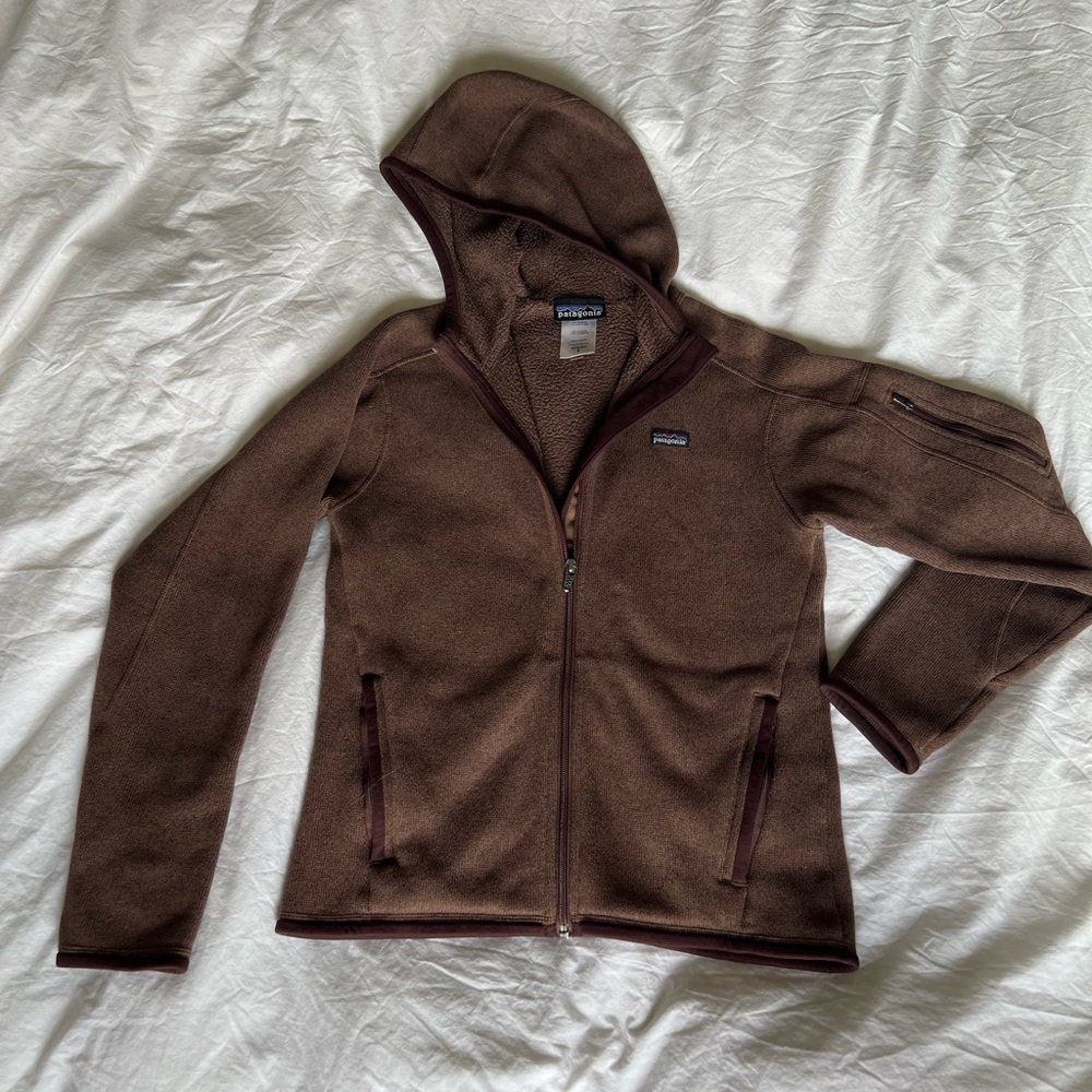 Patagonia Better Sweater Hoody